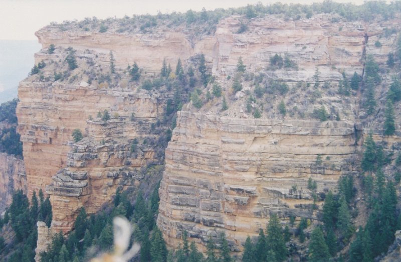 011-Grand Canyon.jpg